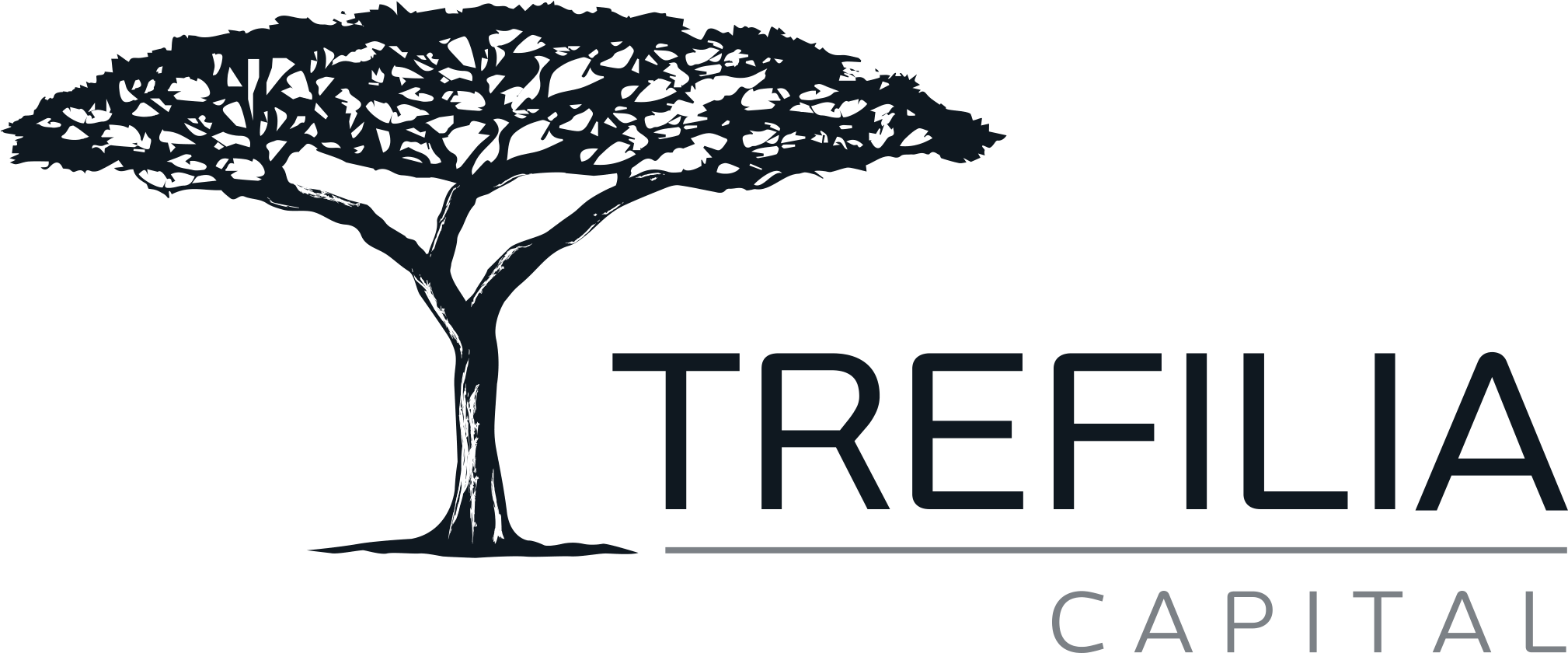 Trefilia Capital